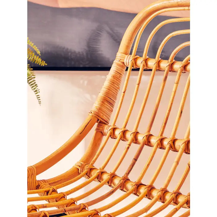 Jaipur Tiger Chair