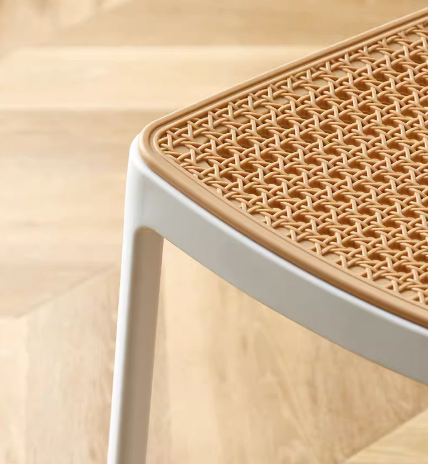 Fanny Dining Chair| DC Concept