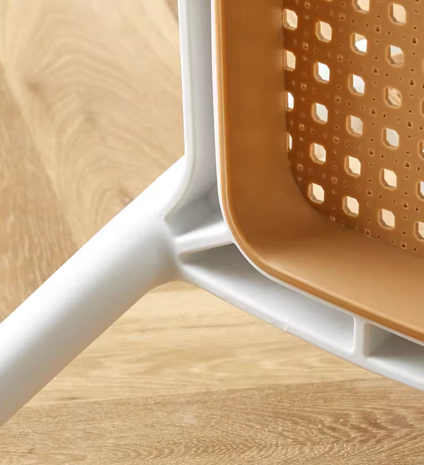 Fanny Dining Chair| DC Concept