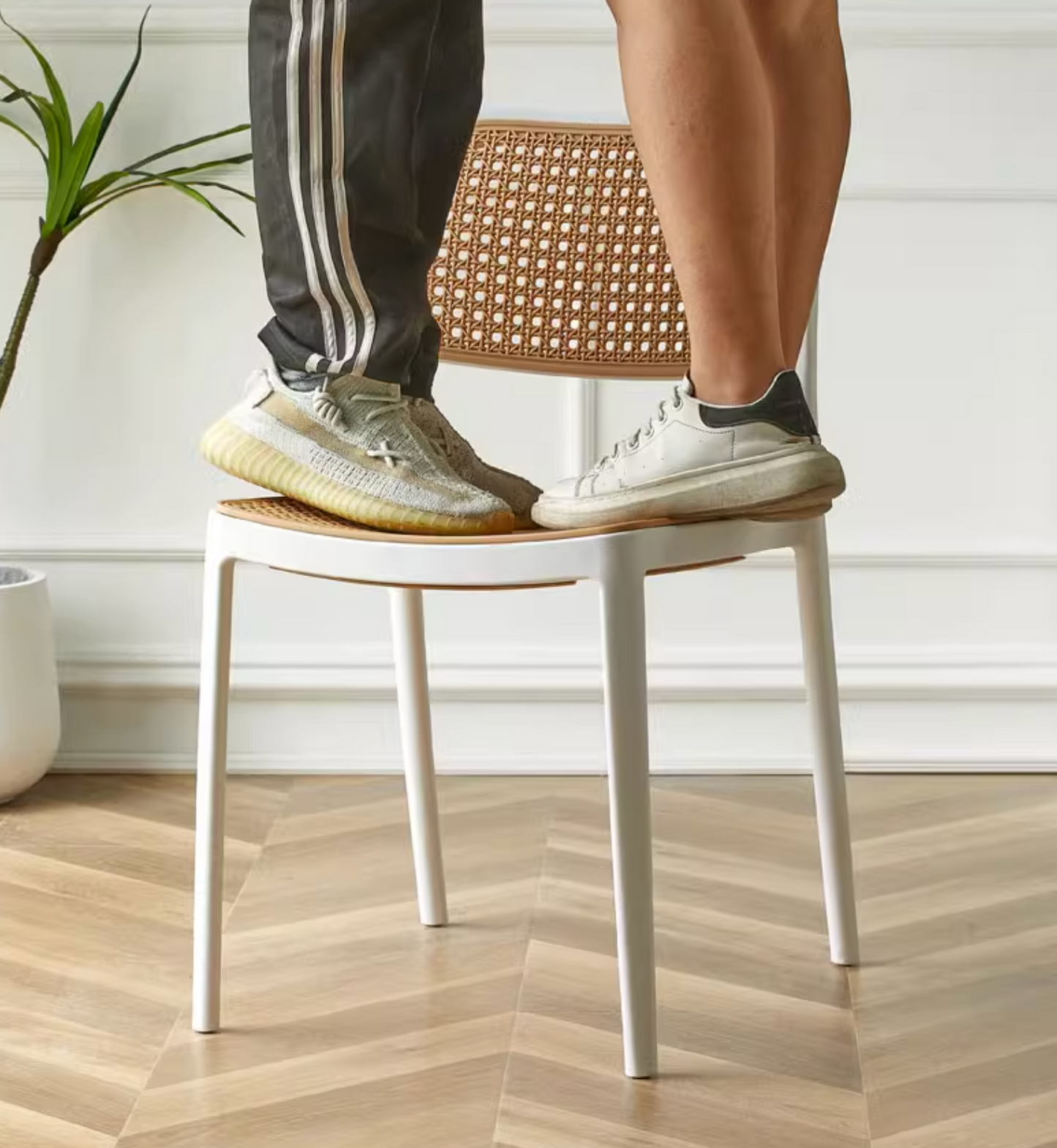 Fanny Dining Chair| DC Concept