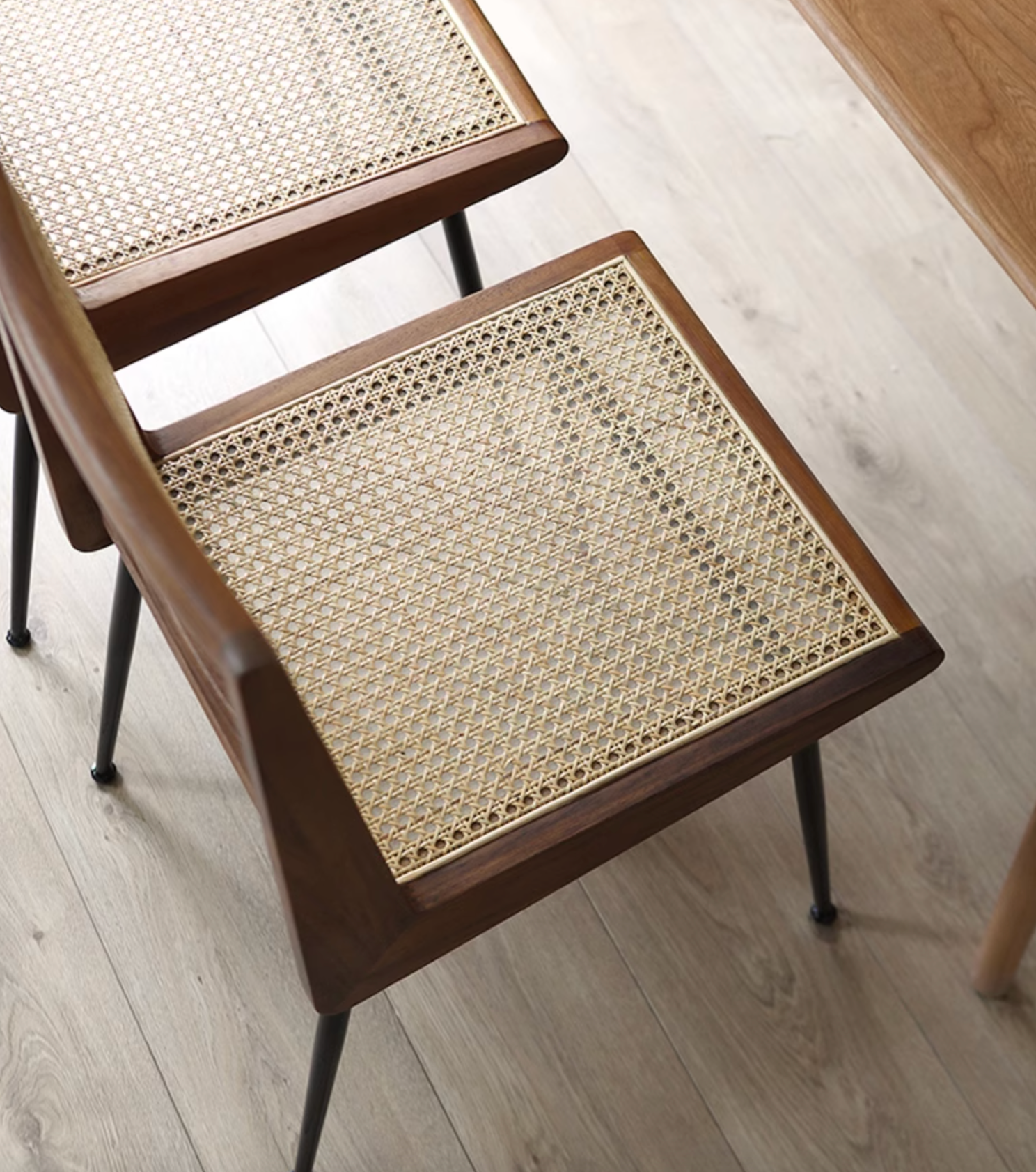 Dana Rattan Dining Chair｜ DC Concept