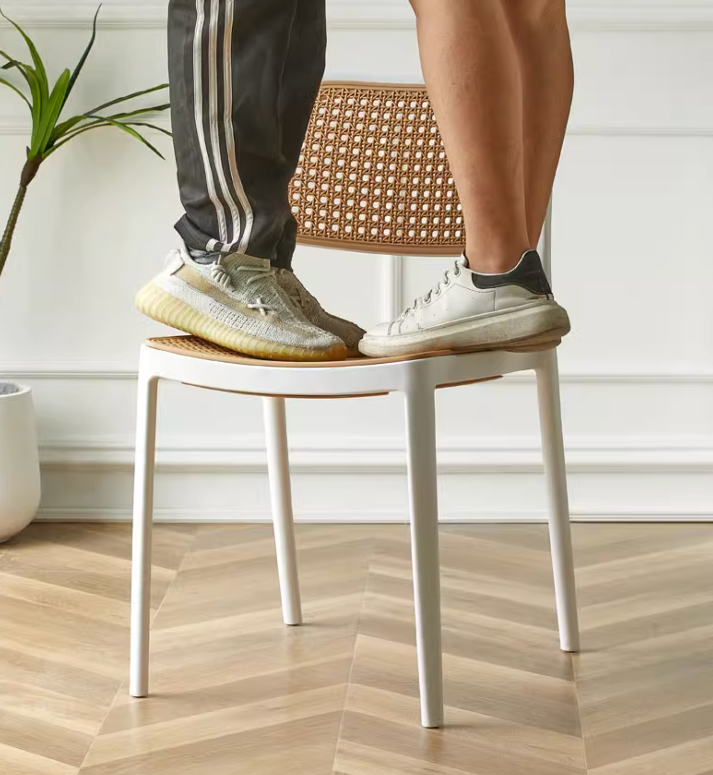 Fanny Dining Chair｜ DC Concept